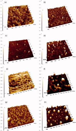 Figure 3. The three-dimensional AFM images of uncoated (a), 11-MUA (b), 2-mercaptoethanol (c), and 2-mercaptoethylamine (d) modified, and PLGA nanofiber (e), PLGA film (f), PCL film (g), and PS film (h) coated crystal surfaces.