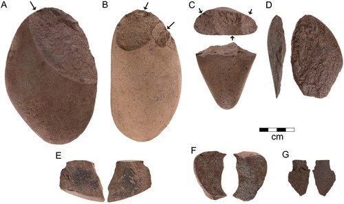 Figure 18. Hornfels artefacts. (A) Single platform core (East wall in situ #2). (B) Single platform core (P3 SU4 XU37). (C) Opposed platform core (O5 SU3 XU21). (D) Cortical unipolar flake (P5 SU4 XU33). (E) Cortical unipolar flake (O3 SU3 XU18). (F) Cortical unipolar flake (P5 SU4 XU34). (G) Unipolar flake (P4 SU2 XU10) (photos by Steve Morton).