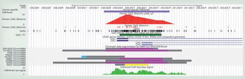 Figure 1.  UCSC browser display showing the colocation of overlapping human-specific H3K4me3 peak (top level mauve) and extreme CpG ‘beacon’ clusters (red) at the 5′ CHL1 locus.All figures are viewable in color online at www.tandfonline.com/doi/full/10.2217/epi.13.74