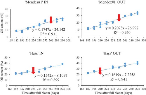 Figure 2. Simple linear relationship between oil content and days after full bloom (DAFB) in ‘Mendez#1ʹ and ‘Hass’ avocado fruit. (IN = inside canopy, OUT = outside canopy). n = 9