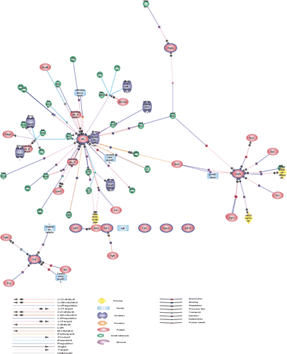 Figure 5. Gene network map of growth-related molecules including Alb, Egfr, Fgfr2, Tgif, Pdgfa, Vegfa, Gdf-9, Okl18, Ctgf and Gdf-15 by GeneSpring GX_10.0 based on the database.