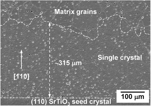 Figure 1. SEM micrograph of an NBT-25ST single crystal grown by solid state crystal growth