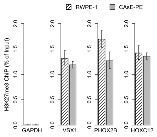 Figure 2. H3K27me3 target genes. H3K27me3 ChIPs were quantified by QRT-PCR. Error bars represent the SEM of three experiments. GAPDH primers were used as a control to show ChIP levels of a H3K27me3 negative region.