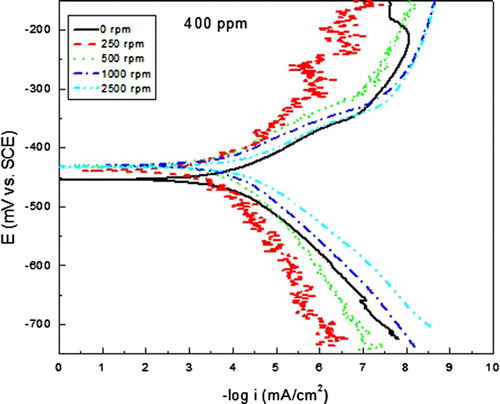 Figue. 4. Effect of rotating speed in the polarization curves for carbon steel in 0.5 M H2SO4 + 400 ppm of A. sativum.