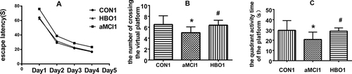 Figure 2 HBO treatment alleviated learning and memory impairment in the 1-day groups. (A) Escape latency:Compared with CON1 group, ■P <0.05; Compared with aMCI1, ▲P <0.05. (B)The number of platform crossing: Compared with CON1 group, *P<0.05; Compared with aMCI1, #P<0.05 (C) Activity time in the fourth quadrant: Compared with CON1 group, *P<0.05; Compared with aMCI1, #P<0.05.