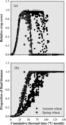 Fig. 3  Relative crop cover (a) and relative biomass accumulation (b) factors in relation to cumulative thermal time for spring and autumn wheat. Lines represent the model used in OVCrop.