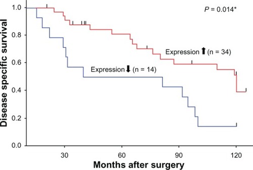 Figure 6 Disease specific survival stratified by DNM3 (dynamin 3) expression status. Patients with lower DNM3 expression exhibited poorer prognosis with decreased disease specific survival, compared to patients with higher DNM3 expression (P = 0.014).