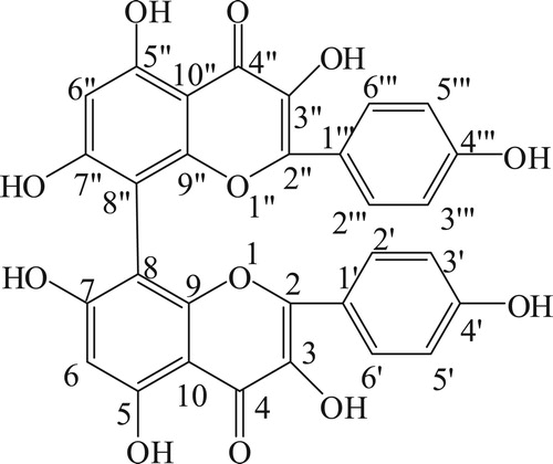 Figure 1. Structure of biflavonoid.