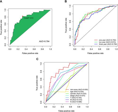 Figure 3 Primary evaluation of the risk model by sIRlncRs pairs. (A) Plot a curve of AUC value generated by ROCs of 1-year and to identify the optimal cut-off value of the AUC. (B) The 1-, 2-, and 3-year survival receiver operating characteristic curves. (C) A comparison of 1-year ROC curves with other common clinical characteristics showed the superiority of the risk score.