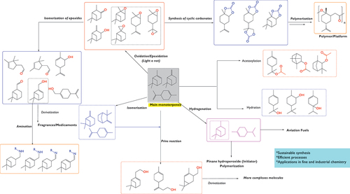 Figure 32. General scheme of the transformations of terpene by using heterogeneous catalysis.