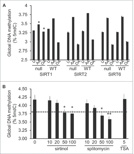 Figure 8. Participation of histone deacetylases in AA- or OA-induced global DNA methylation changes. A, DNA methylation response in MEFs genetically null for SIRT1, −2, or −6 (indicated as “null”) and matched WT controls, stimulated with 100 μM AA or OA for 24 h, or unstimulated (U). Statistical significance is in comparison with corresponding WT cells. B, Effects of inhibitors of SIRT1 (sirtinol, splitomycin) and broad range histone deacetylases (TSA) on the 100 μM AA-induced response. For statistics symbols and test, see legend of Fig. 1.