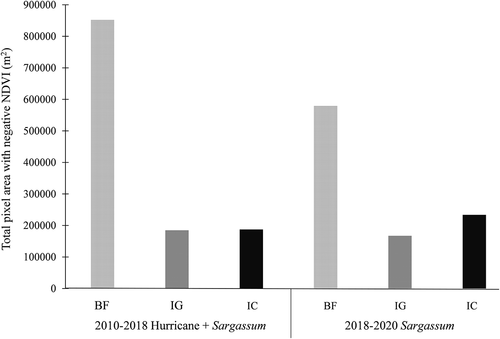 Figure 3. Total pixel areas (m2) with negative changes in N.D.V.I. for each study area in 2010–2018 and 2010–2020