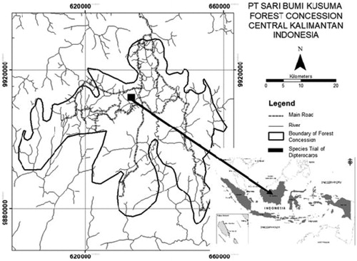 Figure 1. Forest research area, PT Sari Bumi Kusuma forest concession, Central Kalimantan, Indonesia.