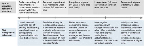 Figure 2. Implications of migration type and household structure (top, grey) on risk management behaviour (bottom, blue). Author construct based on life history interviews.