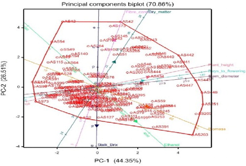 Figure 1. Bi-plot analysis of eight phenotypic traits of 190 sweet stem sorghum genotypes evaluated.