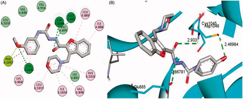 Figure 7. 2D (A) and 3D (B) interactions of 3-(morpholinomethyl)benzofuran derivative 16a within VEGFR-2 binding site (PDB: 4ASD).
