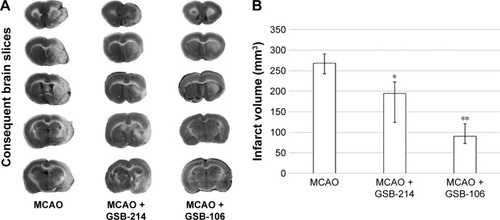 Figure 6 Dimeric dipeptides GSB-106 and GSB-214 decrease infarct volume after MCAO.