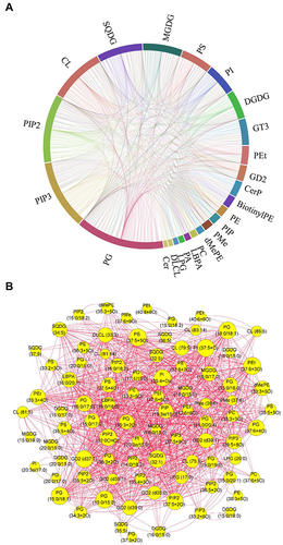 Figure 9 Correlation analysis showing the interaction of the altered lipid classes (A) and lipid species (B), upon menthone treatment.