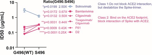 Figure 4. mAb neutralizing activity against S496 and G496 variants. Pairwise neutralizing antibody titres (half-maximum inhibitory dose; ID50) against S496 single mutant and G496 wildtype. The mAbs are divided into two classes according to their opposite phenotypes of antibody evasion. The result is shown as mean ± SD of triplicate and repeated twice for confirmation. Data is analysed by unpaired t test. *P < 0.05; **P < 0.01; ***P < 0.001; ****P < 0.0001.