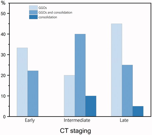 Figure 4. Frequencies of opacity characteristics. The values in parentheses represent the percentage of CT scores within CT stages.