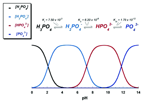 Figure 4. pH variation of ionic concentrations in triprotic equilibrium for phosphoric acid solutions. Reprinted from reference Citation116 with permission.