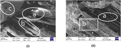 Figure 5. Morphological view of the [0 ∘b/G/G/0∘b] orientation; (i) (a) debonding, (b) banana fiber fracture, and (c) air void; (ii) (a) fiber failure and (b) debonding.