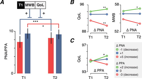 Figure 2. Changes in perceived negative ageism (PNA) and perceived positive ageism (PPA) during the COVID-19 pandemic, and the consequences for quality of life (QoL) and mental well-being (MWB). T1: first measurement wave; T2: second measurement wave. (a) Red bars represent PNA scores and blue bars represent PPA scores. Only significant moderators (MWB/QoL) are included. (b) The moderating effect of changes in PNA are shown, for QoL and MWB, separately. (c) The moderating effect of changes in PPA for QoL is shown. (b and c) Standard deviations are not shown to improve visibility. +p < .07, *p < .05, **p < .01, ***p < .001.