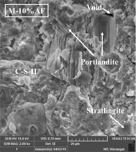 Figure 10. SEM of HSC paste incorporated with 10% alccofine-1203 (Sagar and Sivakumar Citation2021)