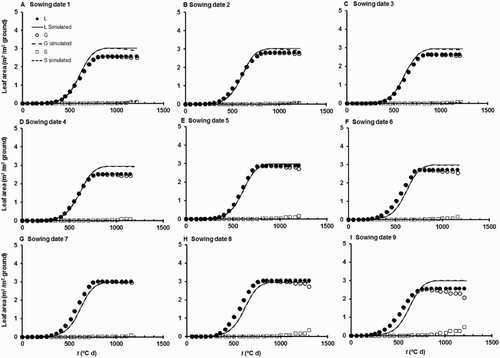 Figure 5. Time courses of simulated and observed main stem leaf areas (L, G, and S) for the nine different sowing date treatments of Dataset 2. This is a test of the first fit of the model. The observed and simulated leaf area values refer only to leaves on the main stem.