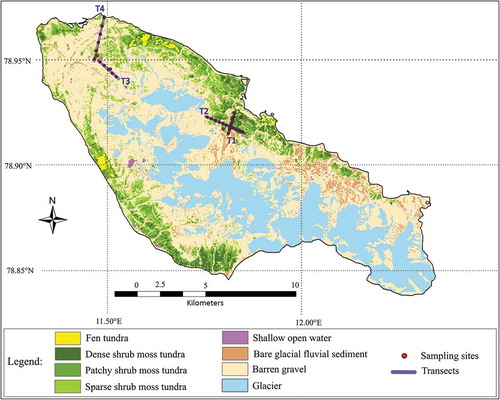 Figure 3. Land cover classification of the Brøgger Peninsula (Svalbard).