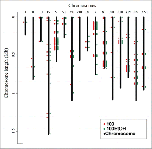 Figure 4. Localization of generation- and ethanol-mediated changes in the genome. Genomic distribution of modifications was revealed using strain 4 and next-generation sequencing (see Materials and Methods for details). Generation-induced changes are shown in red, whereas ethanol-induced changes are shown in green.