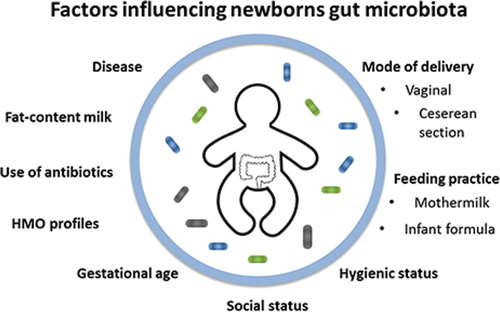 Figure 1. Factors influencing the composition and colonization of newborns gut microbiota.