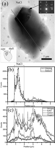 Figure 4. TEM image (a) and STEM/EDX elemental profiles (b and c) along a preset line (arrow) of a roughly spherical Na-rich particle of the first composition collected on Cu grid and coated with Si-O film. The Na-rich particle includes a NaCl core and Na-rich shell. Inset in (a) shows the SAED pattern of NaCl.