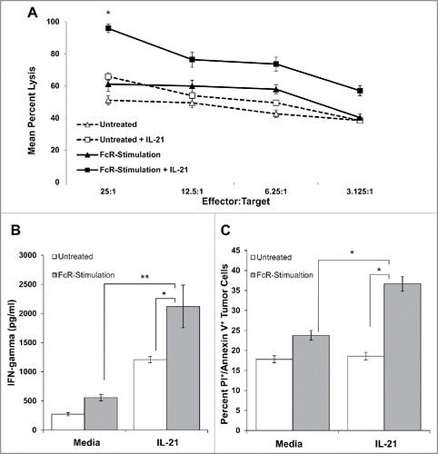 Figure 5. IL-21 treatment of FcR-stimulated NK cells enhances cytotoxicity, NK cell IFNγ production, and tumor cell apoptosis. (A) NK cells were left untreated or stimulated through their FcR for 8 h prior to incubation overnight with or without 10 ng/mL IL-21. The lytic activity of IL-21-activated NK cells was then assessed in a standard 4 h chromium release assay using K562 tumor cells as targets. The percentage of lysis was calculated as previously described. Graph depicts the results from one representative donor ± SD. Three normal donors were tested. The asterisk (*) denotes p < 0.05 vs untreated NK cells. (B) Untreated or 8 h FcR-stimulated NK cells were incubated with or without 10 ng/mL IL-21 and co-cultured with (100 μg/mL) trastuzumab-coated SK-BR-3 tumor cells. Supernatants were harvested at 48 h and analyzed for IFNγ by ELISA. Each graph depicts the mean production of IFNγ from three donors ± SD. The asterisk (**) denotes p < 0.01 and (*) denotes p < 0.05 vs. conditions shown. (C) Untreated or 8 h FcR-stimulated NK cells were incubated with or without 10 ng/mL IL-21 and co-cultured with (100 μg/mL) trastuzumab-coated SK-BR-3 tumor cells. Tumor cells were harvested at 48 h and stained for flow cytometry with anti-CD56-APC, propidium iodide, and anti-annexin V-V450. APC+ values were gated out to account for tumor cell apoptosis only. Percentages reported are of PE+/V450+ populations (Q2). Each graph depicts the results from three donors ± SD. The asterisk (*) denotes p < 0.05 vs. all conditions shown.