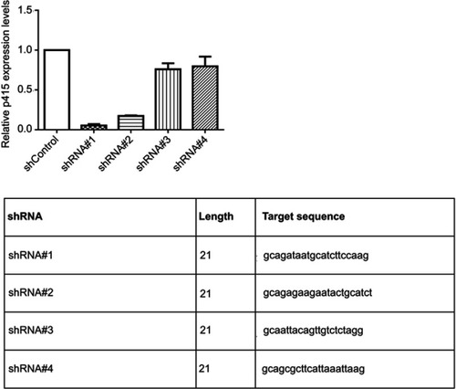 Figure S1 Four different shRNA knocking-down efficiency.