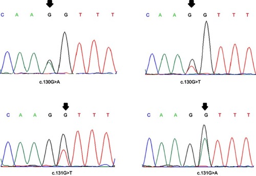 Figure 1 Chromatograms presenting some of the exon2-MED12 somatic mutations.