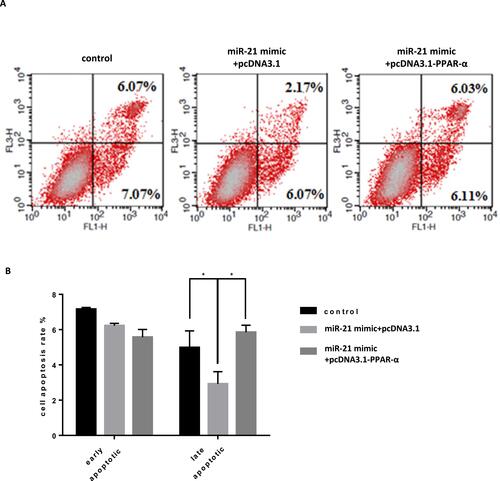 Figure 14 Co-transfection of PPAR-α expression vector and miR-21 mimics into cells, the effect on cell apoptosis (A and B) Cell apoptosis in cell lines was detected by flow cytometry. n = 3 per group. *P<0.05.