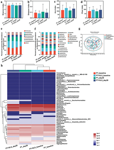 Figure 7. The effect of postbiotic toothpaste and SLS on the oral microecology of clinical populations. (a-d) the Shannon, Simpson, ACE, and Chao indices of the oral microflora of subjects, respectively. (e-f) Distribution of bacterial groups at the phylum and genus levels. (g) Principal coordinate analysis at the genus level for the oral microflora of subjects. (h) Community heatmap analysis at the genus level.