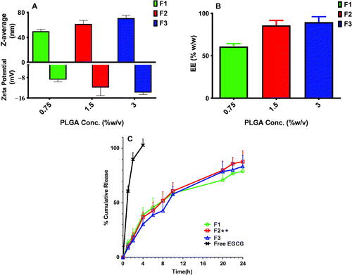 Figure 2. Physical and in vitro release characterization of EGCG PLGA NCs (F1–F3). Effect of PLGA concentration on (A) the particle size and zeta potential, (B) % entrapment efficiency, and (C) in vitro release pattern of free EGCG and EGCG PLGA NCs. Results show mean ± SD (n = 3) for A and B. For clarity, data are shown as mean ± SD (n = 3) for C. EGCG PLGA NCs (F2) have significantly higher initial burst and percent cumulative release (double asterisks, p<.05).