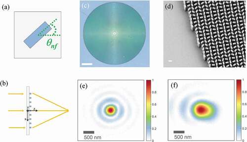 Figure 15. Metalens enabling diffraction-limited focusing [Citation127]. (a) Pancharatnam-Berry phase; a nanofin arranged at an angle of θ induces a geometrical phase of 2θ to the incident beam. (b) Schematic of a metalens composed of nanofins. Optical (c) and SEM (d) images of a fabricated matelens. Focal spot profiles of 532-nm light focused by the metalens (e) and by a commercial objective lens (100x Nikon CFI 60; NA = 0.8) (f) are recorded with a collecting objective lens (100x, NA = 0.9), tube lens, and CMOS camera. The focal spot sizes at FWHM are 375 and 600 nm, respectively