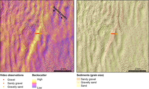 Figure 8. Moraines (ridges) showing high backscatter (relatively coarser sediments) separated by lower backscatter areas (relatively soft sediments, sand). See Figure 1 for location.