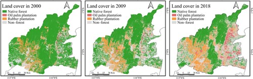 Figure 5. Maps of land cover in the study area for 2000, 2009 and 2018.