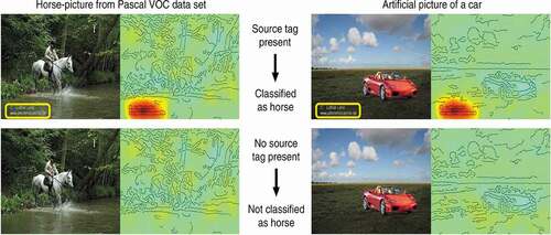 Figure 1. Explanations for AI-based classifications using Grad-CAM (Lapuschkin et al., Citation2019, p. 3)