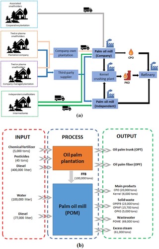 Figure 3. Palm oil value chain (a) (Adapted from Pacheco et al. (Citation2017)), and the material flow in POM (b) (Adapted from Rizal et al. (Citation2018)). CPO: crude palm oil, FFB: fresh fruit bunches, OPEFB: oil palm empty fruit bunch, OPF: oil palm fibre, OPKS: oil palm kernel shell, OPMF: oil palm mesocarp fibre, OPT: oil palm trunk, POM: palm oil mill, POME: palm oil mill effluent.