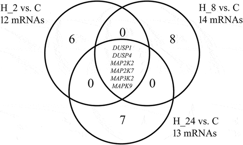 Figure 2. The Venn diagram of microarray results.