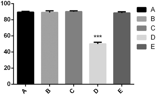 Figure 4. There was no significant difference among group A, B, C and E. However, there were significantly fewer green fluorescent particles in group D, ***p < .05 compared to other cases.