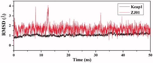 Figure 5. Time dependencies of RMSDs for the backbone atoms of the Keap1–ZJ01 complex.