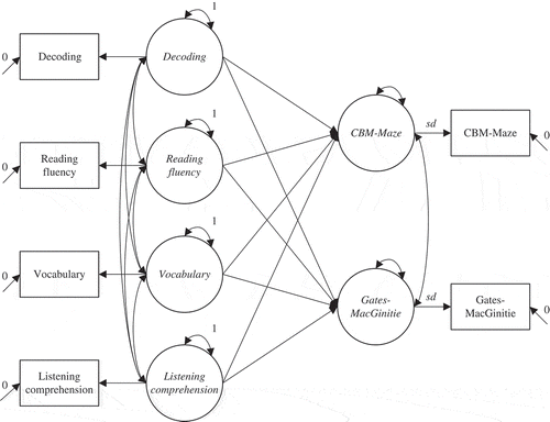 Figure 1. Multigroup structural regression model with phantom factors for the demands of decoding, reading fluency, vocabulary, and linguistic comprehension on the CBM-Maze and the Gates–MacGinitie Reading Comprehension Tests.