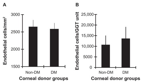 Figure 4 Endothelial cell density and GGT activity. (A) Mean (±SEM) corneal endothelial cell density in 50 to 83 year old non-diabetic and/or diabetic donor groups. (B) Mean (±SEM) number of corneal endothelial cells/unit of GGT activity in the non-diabetic and/or diabetic donor groups.