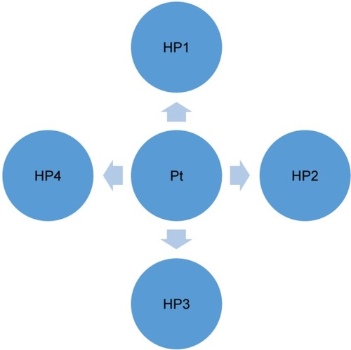 Figure 3 Graphical representation multidisciplinary model.